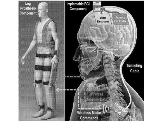 brain bionic suit